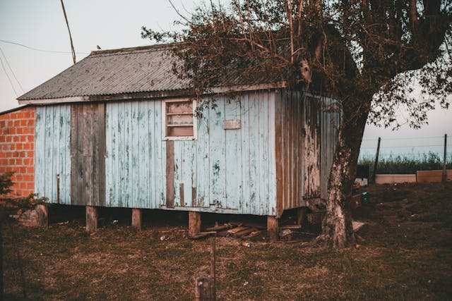Early Signs of Termites in Florida Homes